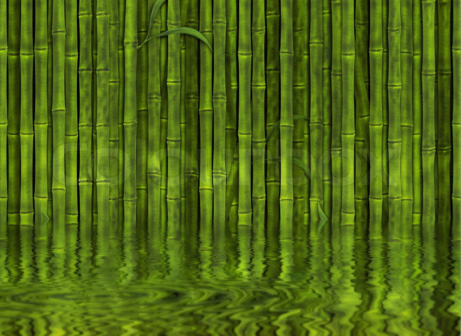 Küchen-Wand - Bambus im Wasser 1546894